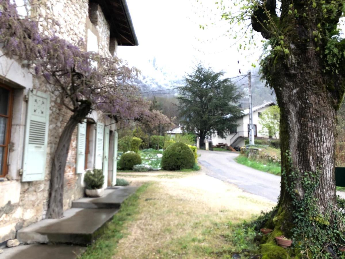 Au Pied Du Vercors Tout Est Permis La Riviere  Kültér fotó