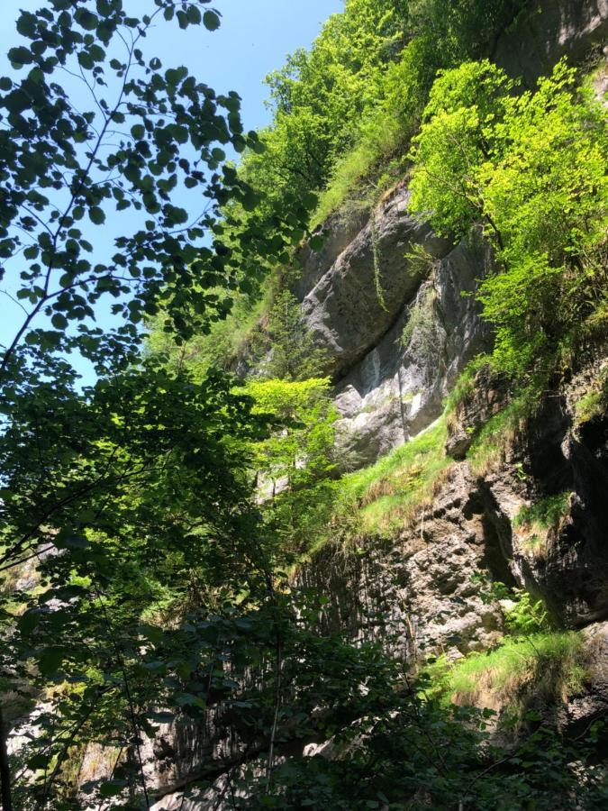 Au Pied Du Vercors Tout Est Permis La Riviere  Kültér fotó