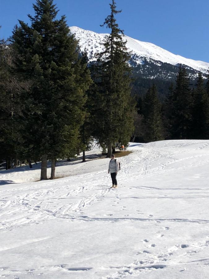 Au Pied Du Vercors Tout Est Permis La Riviere  Kültér fotó