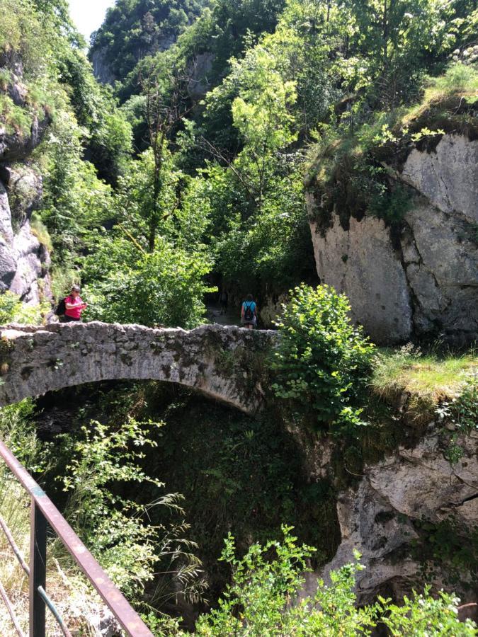Au Pied Du Vercors Tout Est Permis La Riviere  Kültér fotó